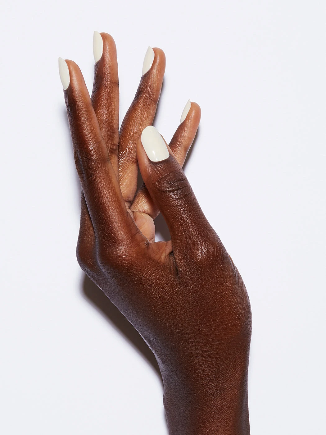 DESERT ROSE 6 DESERT ROSE - Image 4