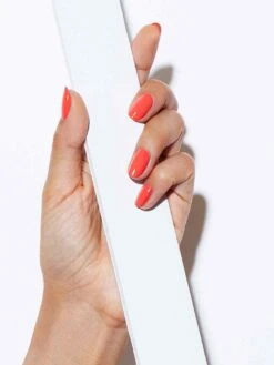 BEACH BUM -Cheap Nails Store L12Beachbum Medium d2ccb4a2 643a 48f5 89a2 564fa4327f25