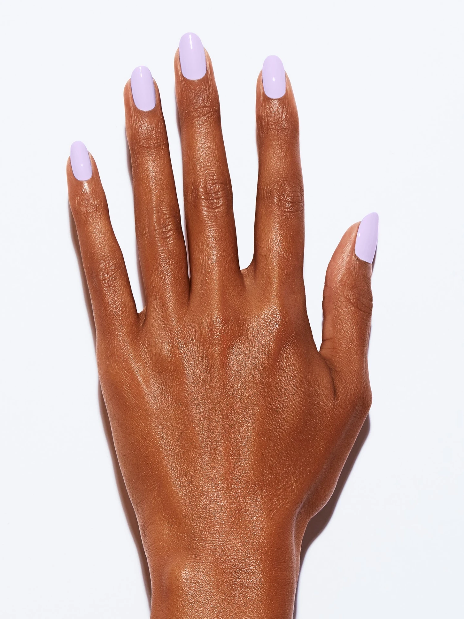 LAVENDER FIELDS 5 LAVENDER FIELDS - Image 3