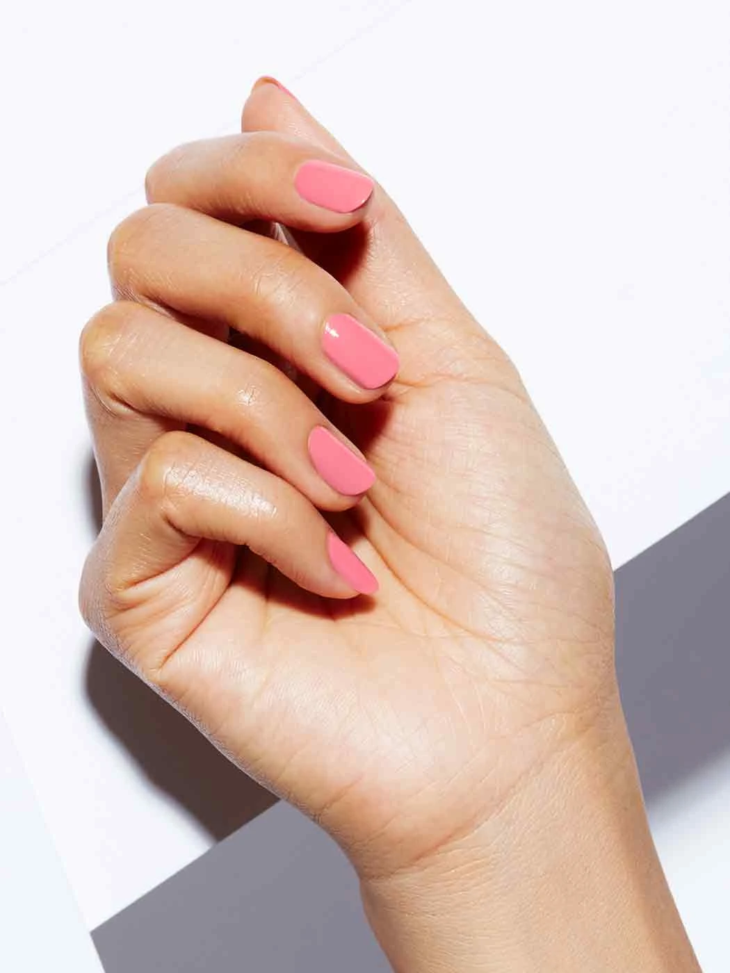 POOL TOYS 4 POOL TOYS - Image 2