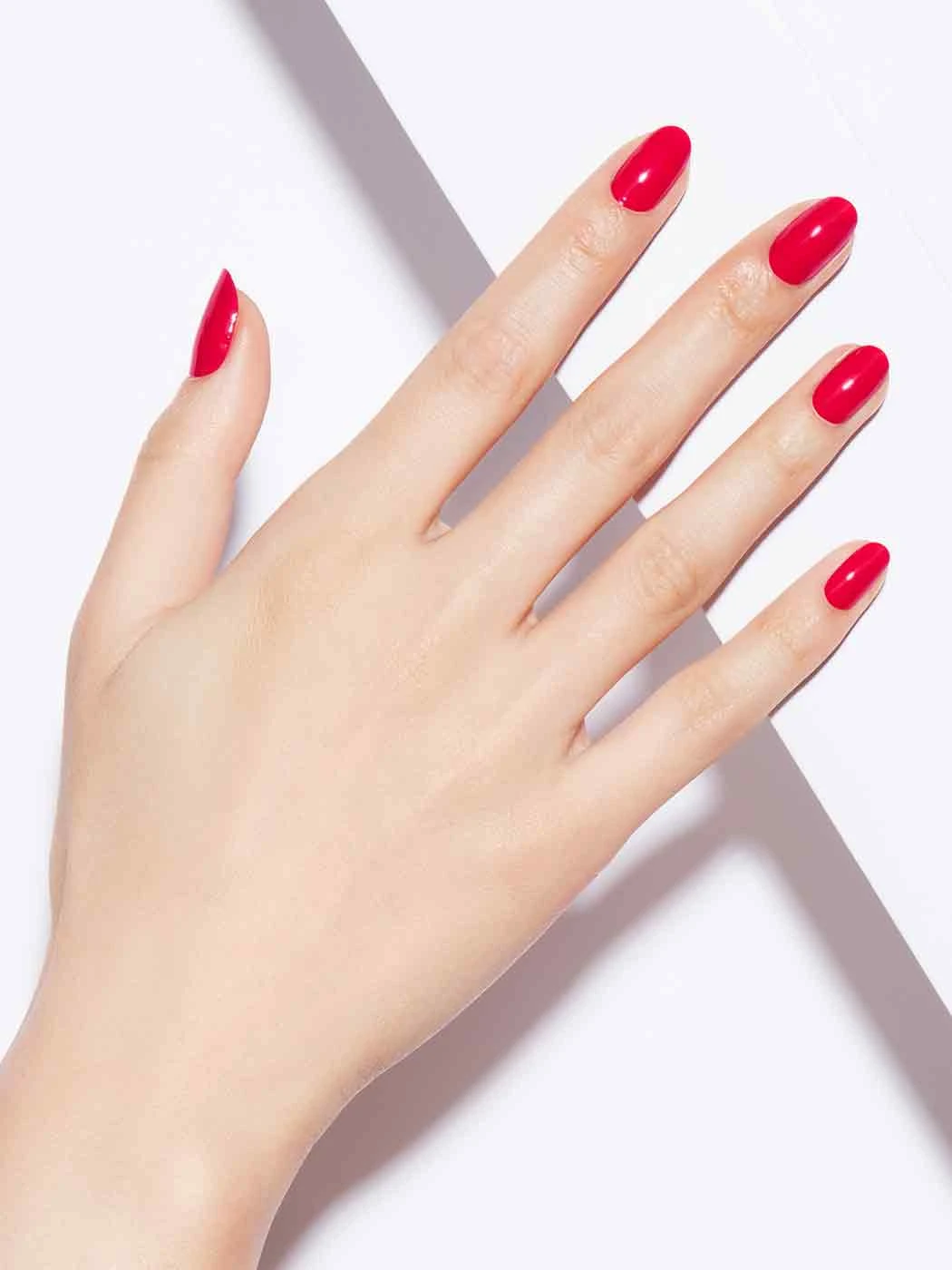 WATERMELON STAND 4 WATERMELON STAND - Image 2